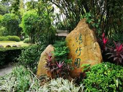 -晓港公园