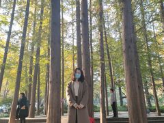 -八大关景区