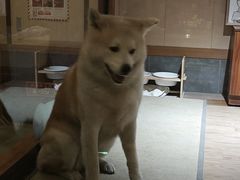 -大江户·温泉洗浴(浑南店)