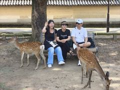 -奈良公园