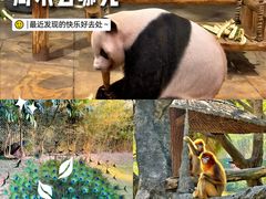 -深圳野生动物园