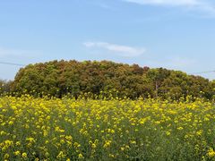 -金山嘴渔村