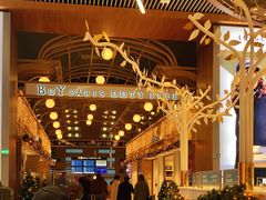 -戴高乐机场免税店(BuY PARIS DUTY FREE)