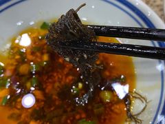 -堂客老火锅(欣阳广场总店)