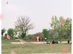 -上海辰山植物园