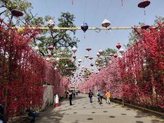 -北京凤凰岭