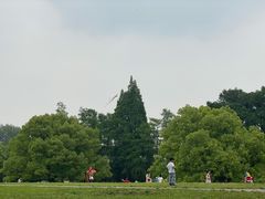 -共青国家森林公园-售票处