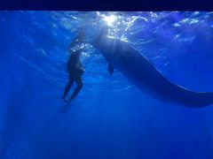 -多彩贵州城极地海洋世界