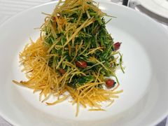 巧拌豆苗-四季民福烤鸭店(王府井灯市口店)