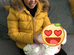 -田螺阿姨自营月嫂·育儿嫂(高新店)