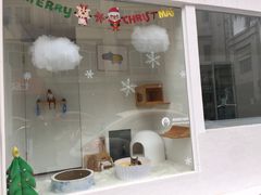 -BABYDOG宝贝狗宠物乐园(欧洲城店)