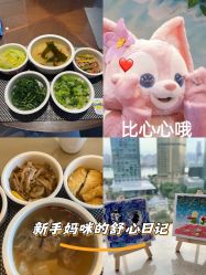 -巍阁高端月子会所