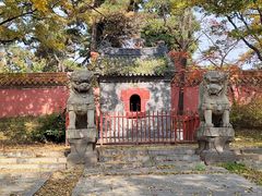 -北陵公园