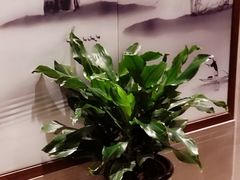 -明仕田园酒店
