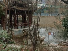 -莲湖公园