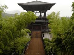 -大唐贡茶院