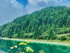 -武陵山森林公园