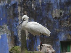 -杭州野生动物世界