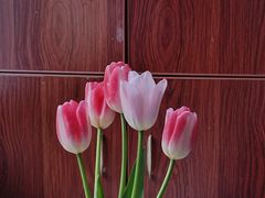 -循礼门鲜花花市(武汉循礼门店)