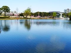 -新江湾城公园