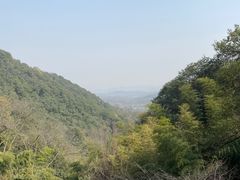 -韬光茶庵