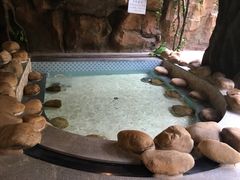 -御池园(顾村公园店)