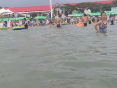 -碧海金沙