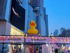 -金茂览秀城