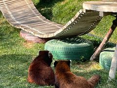 -水上乐园·欢乐世界