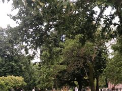 -斯福尔扎古堡