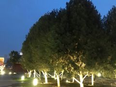 -大雁塔北广场音乐喷泉