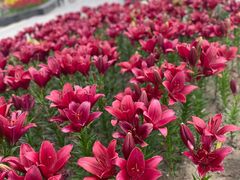 -长春公园(普阳街道)