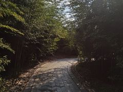 -金卉庄园
