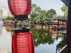 -侨美·唐荔园·40年地道粤菜