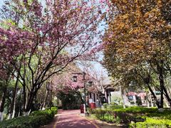 -西安汉城湖景区