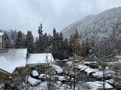 -瓦屋山景区