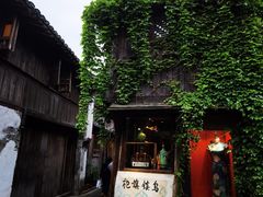 -乌镇西栅景区