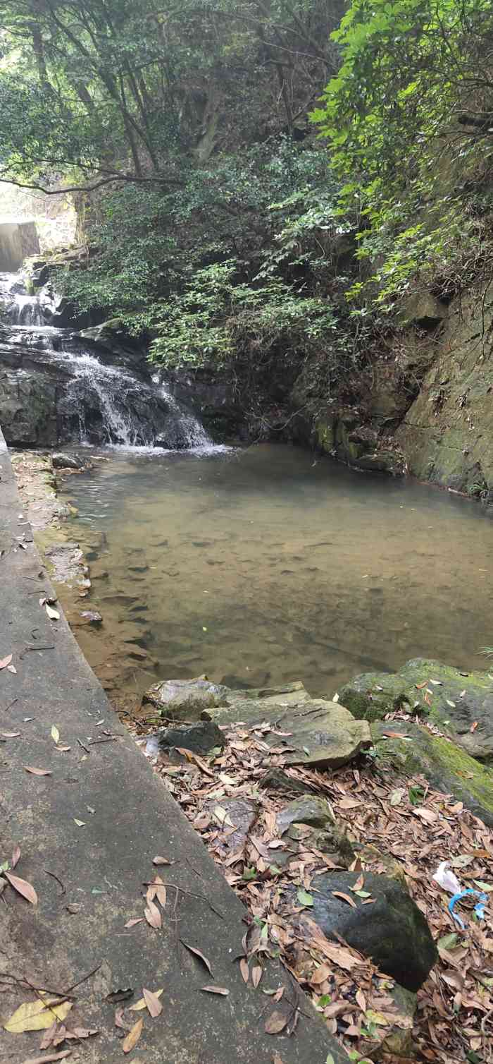 佛山市三水区大南山森林公园"大南山是一个林场,也是一个公益林保护