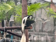 -武汉动物园