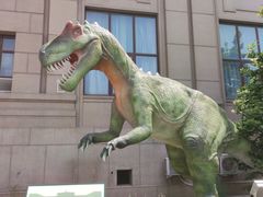 -国家自然博物馆