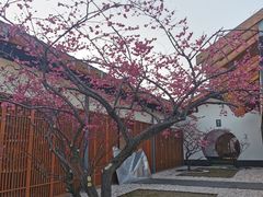 -嘉北郊野公园