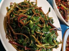 马齿苋-古道村落(温汤店)