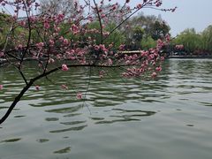 -西湖天地