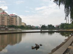 -雁滩公园