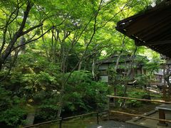 -常寂光寺