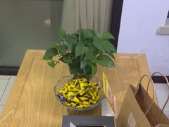 -张钰强中医正骨推拿连锁(华发商都店)