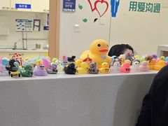 -上海市第四人民医院