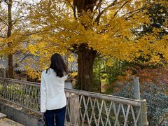 -径山寺