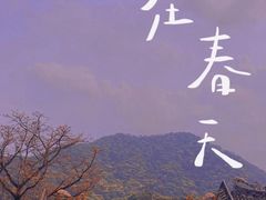 -鼎湖山风景区