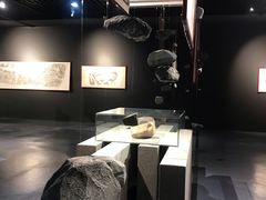-中国湿地博物馆
